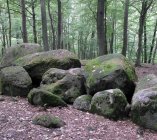 borkowo-megality